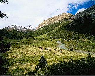 Epic喜加一：《杀戮骑士》免费领取